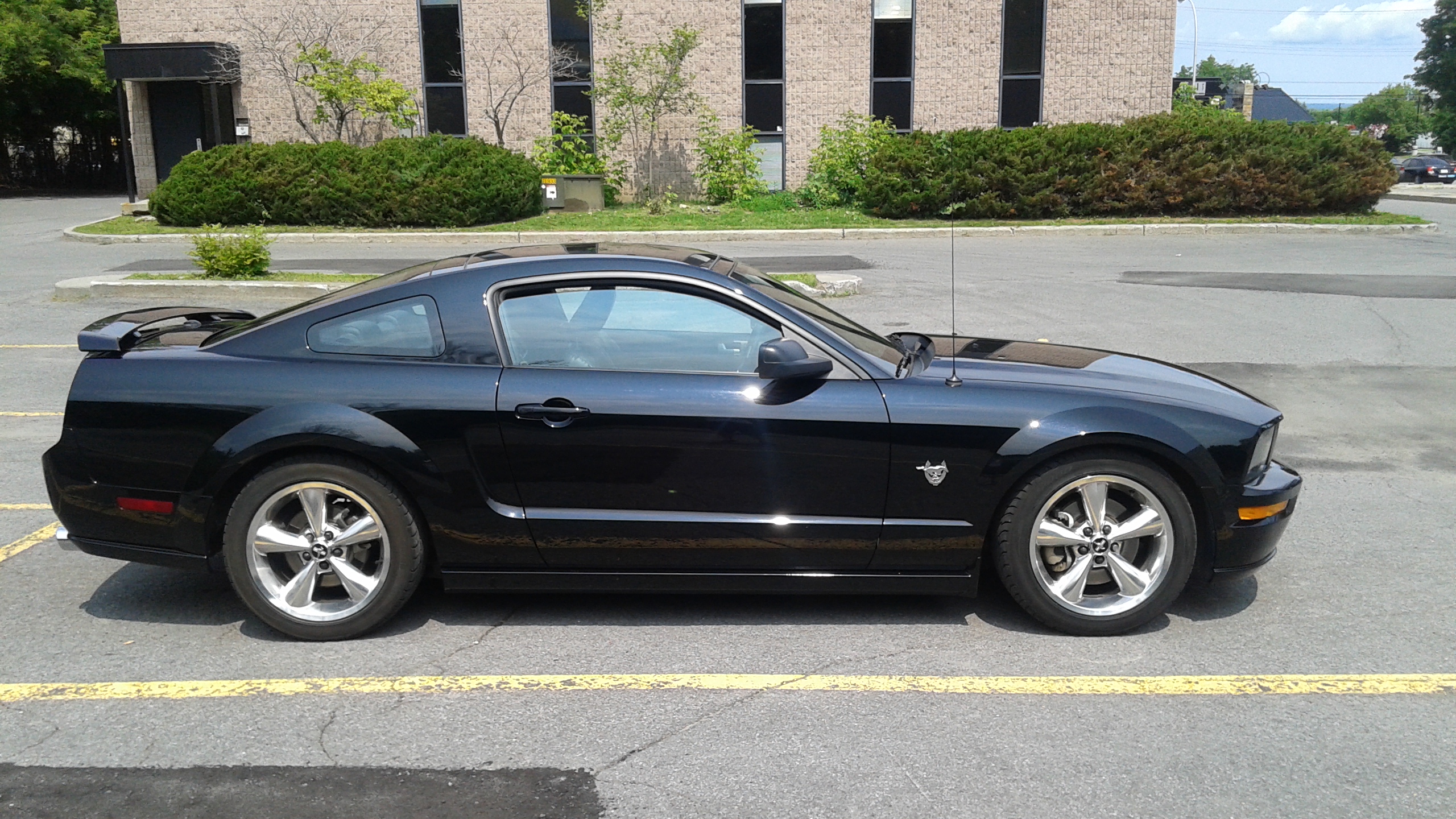 2009 Mustang GT for sale  Canadian Mustang Owners Club  Ford Mustang Forums