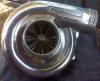 Stang Illusions 5.0L's Avatar