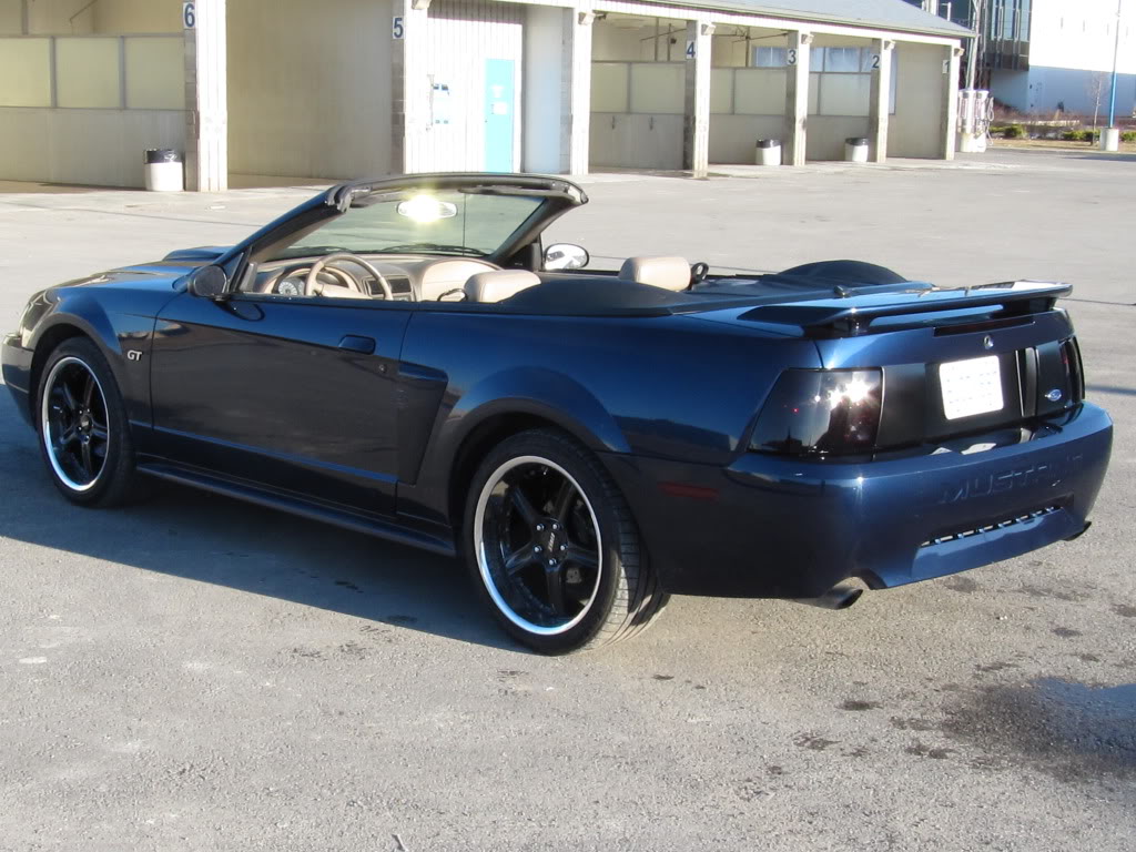 Name:  mustang023.jpg
Views: 90
Size:  157.4 KB