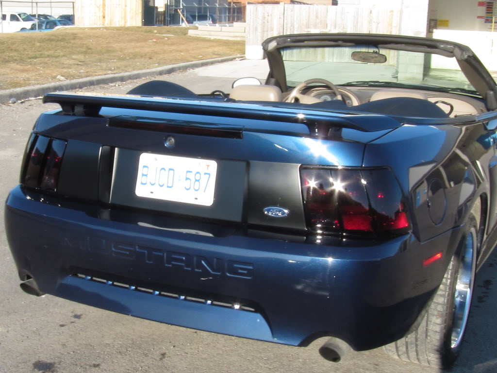 Name:  mustang021.jpg
Views: 90
Size:  122.9 KB