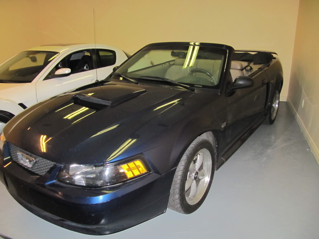 Name:  stang001.jpg
Views: 44
Size:  92.7 KB