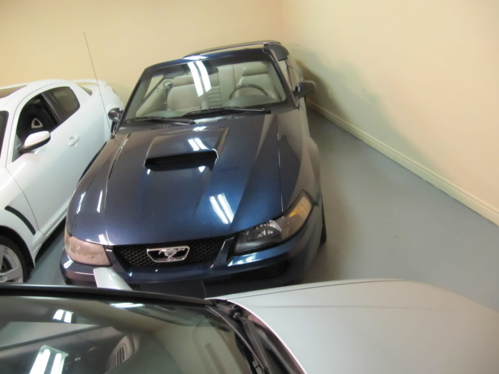 Name:  stang002.jpg
Views: 52
Size:  74.4 KB