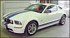 Anyone Here own or thinking about getting an 05?-mustang-white-stripes.jpg