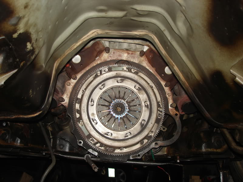 Name: pics045.jpg
Views: 39
Size: 83.1 KB