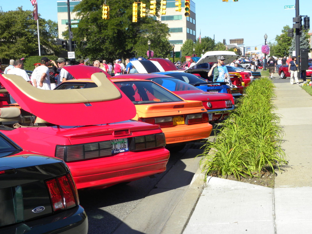 Name: DSCN4560.jpg
Views: 79
Size: 304.0 KB