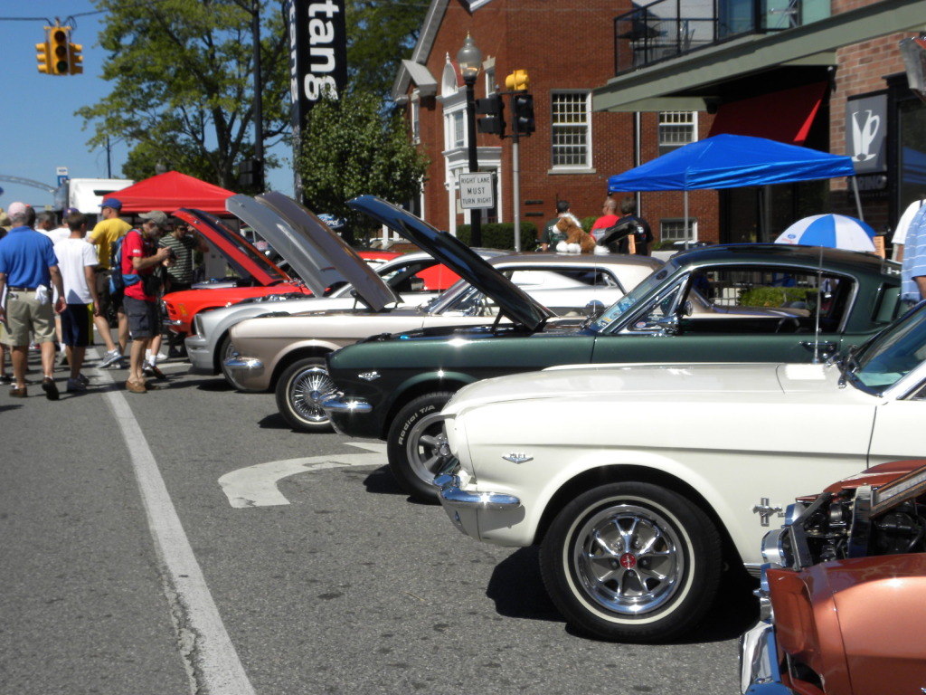 Name:  DSCN4590.jpg
Views: 67
Size:  254.3 KB