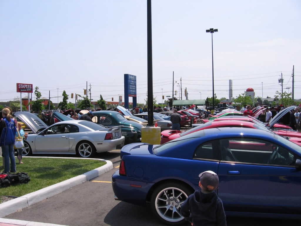 Name:  IMG_1076.jpg
Views: 650
Size:  130.2 KB