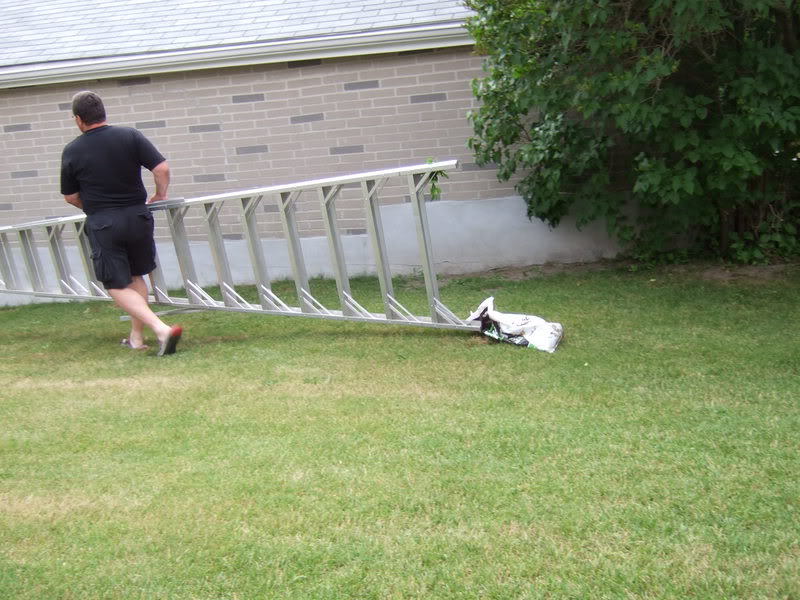 Name:  Picture035.jpg
Views: 20
Size:  95.8 KB