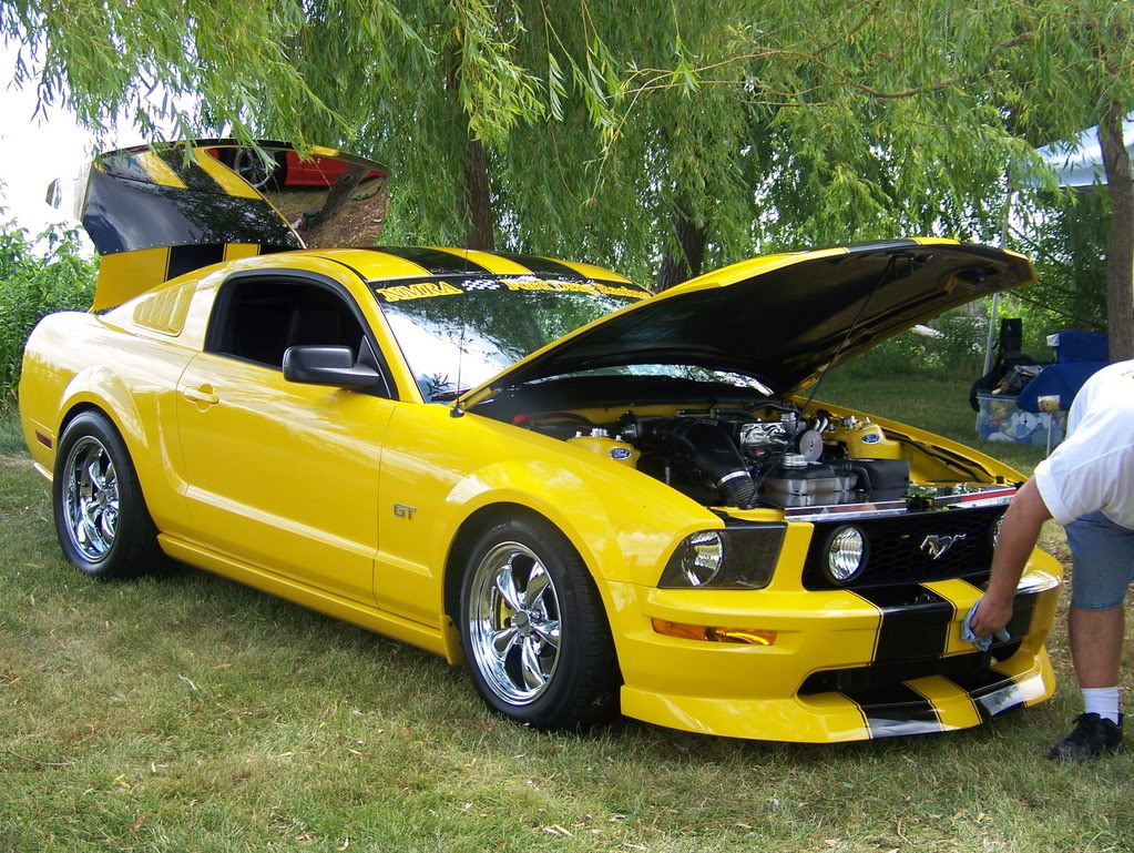 Name:  100_1994.jpg
Views: 19
Size:  273.3 KB