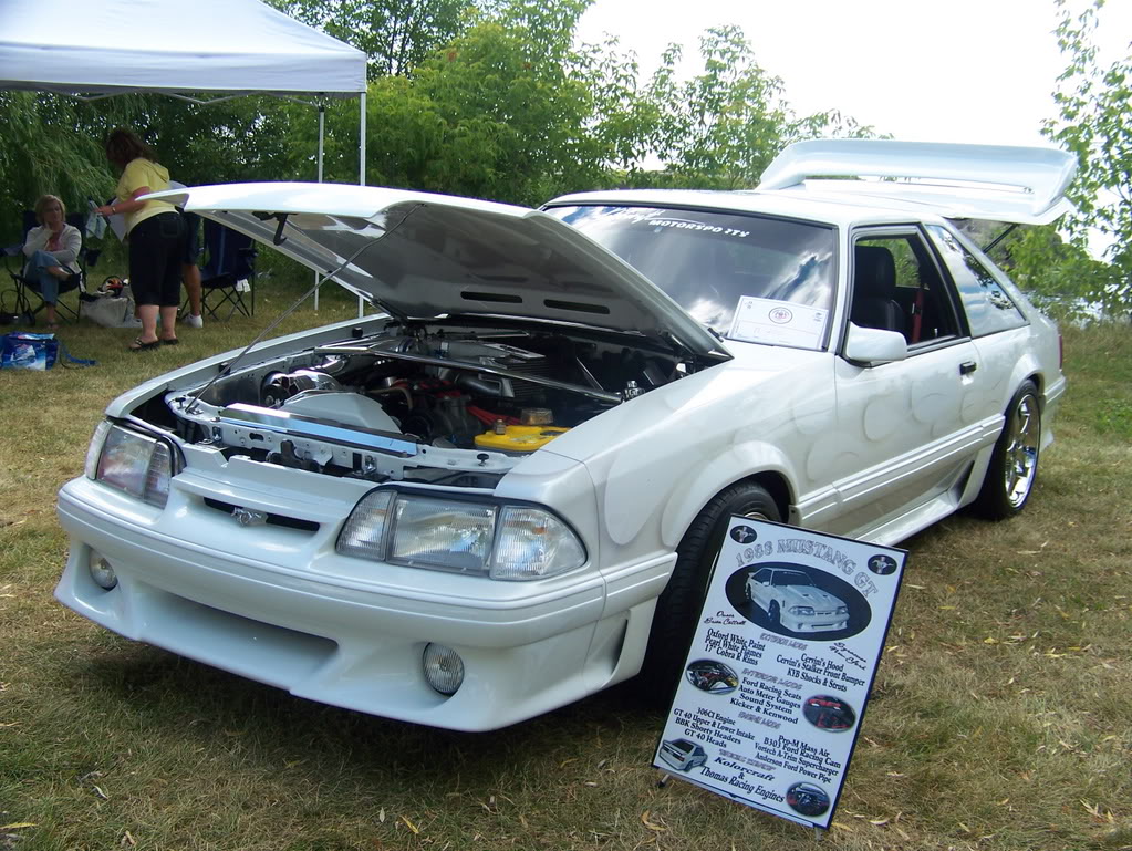 Name:  100_1990.jpg
Views: 18
Size:  227.5 KB