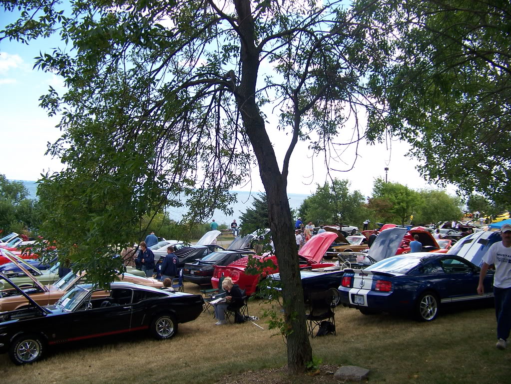 Name:  100_2027.jpg
Views: 21
Size:  328.0 KB