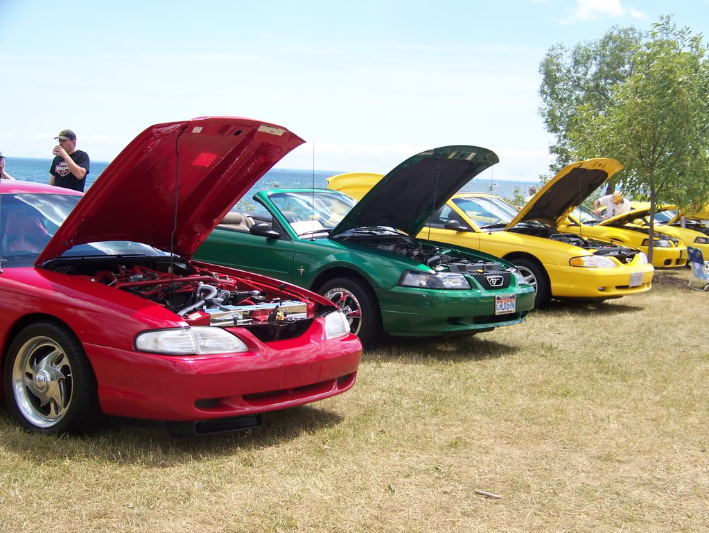 Name:  100_2021.jpg
Views: 23
Size:  214.2 KB