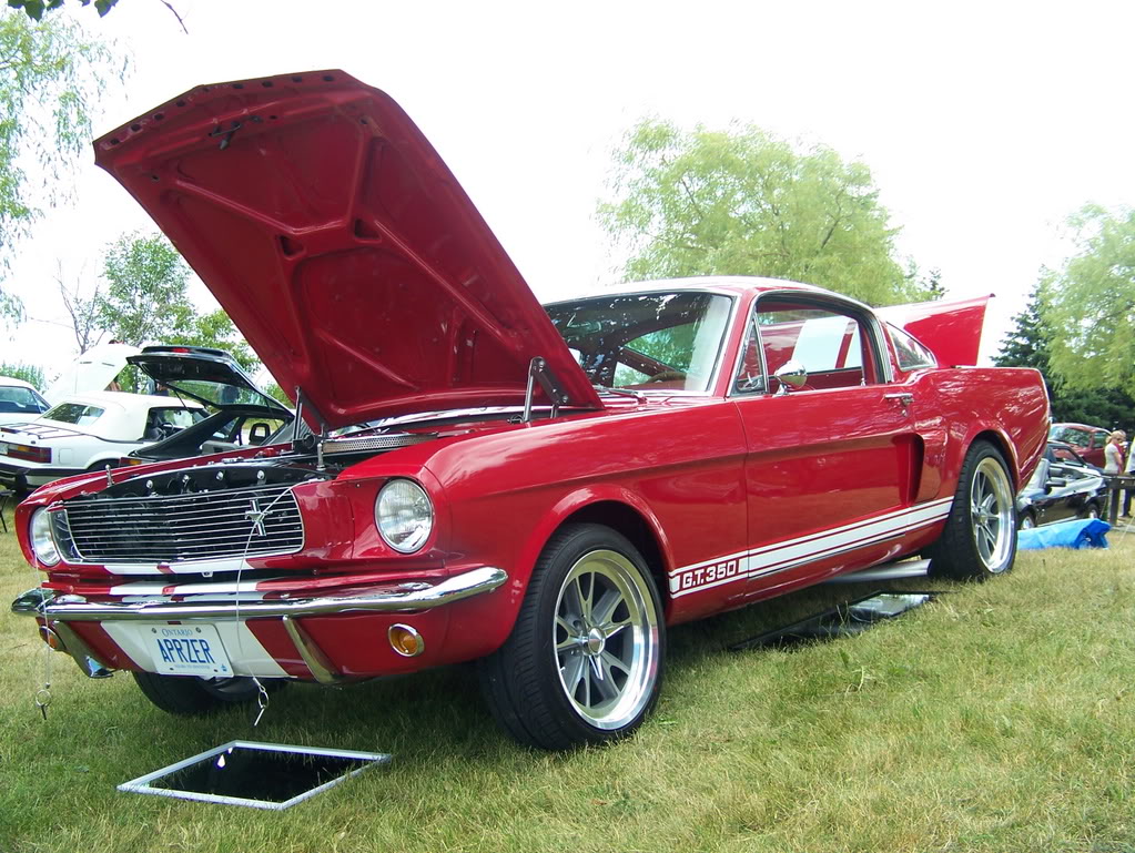 Name:  100_2005.jpg
Views: 47
Size:  221.1 KB