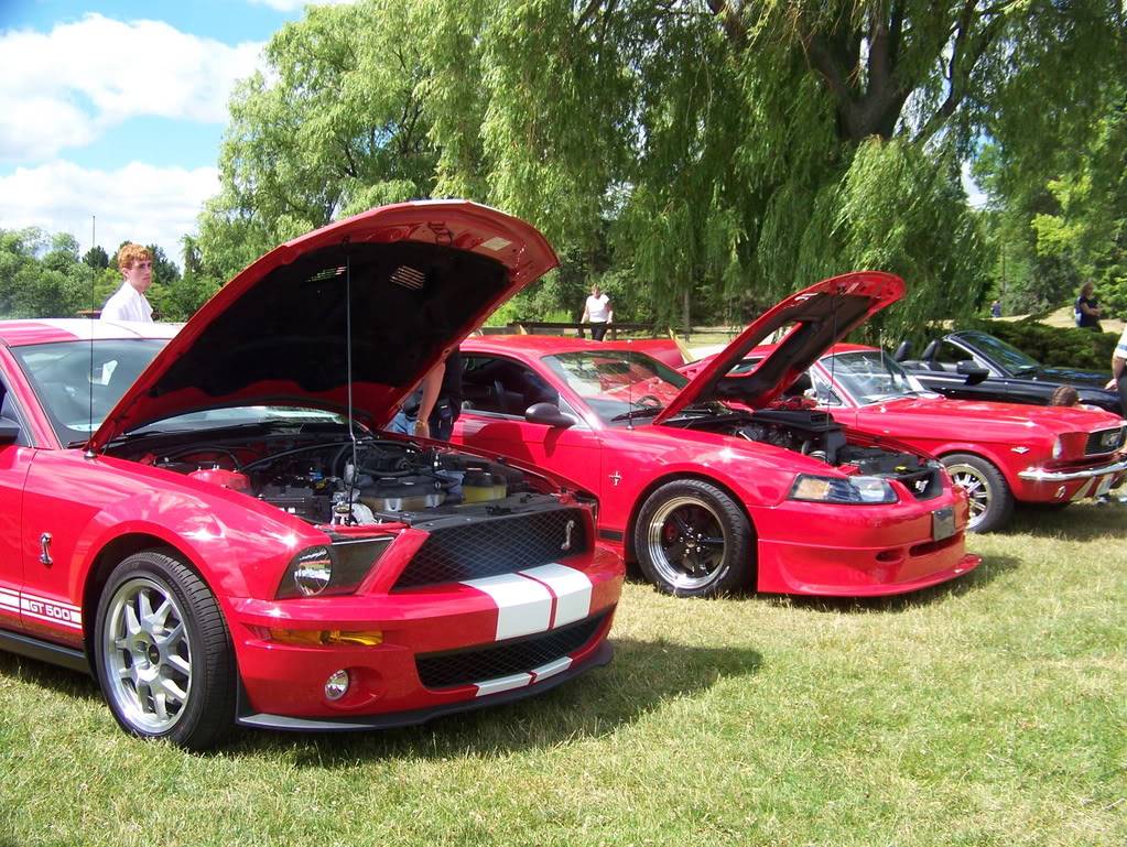 Name:  100_2000.jpg
Views: 39
Size:  272.8 KB