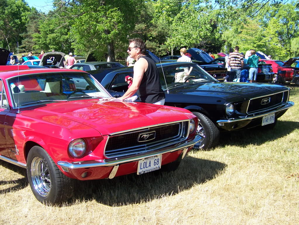 Name:  100_1986.jpg
Views: 27
Size:  308.5 KB