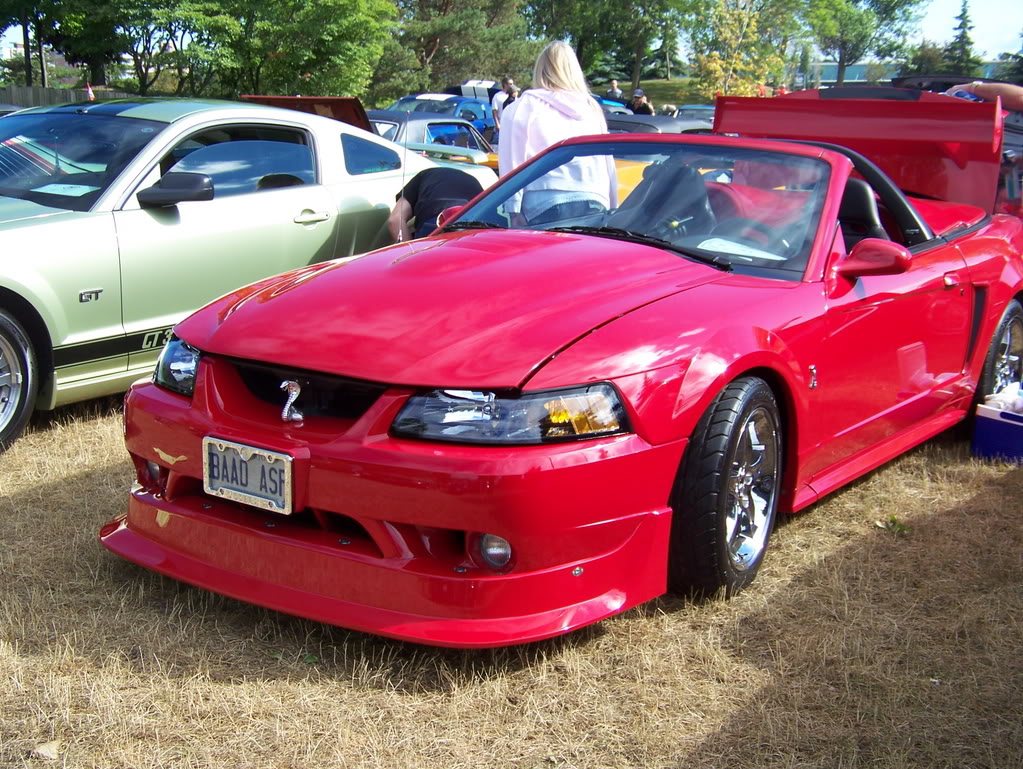 Name:  100_1968.jpg
Views: 33
Size:  237.9 KB