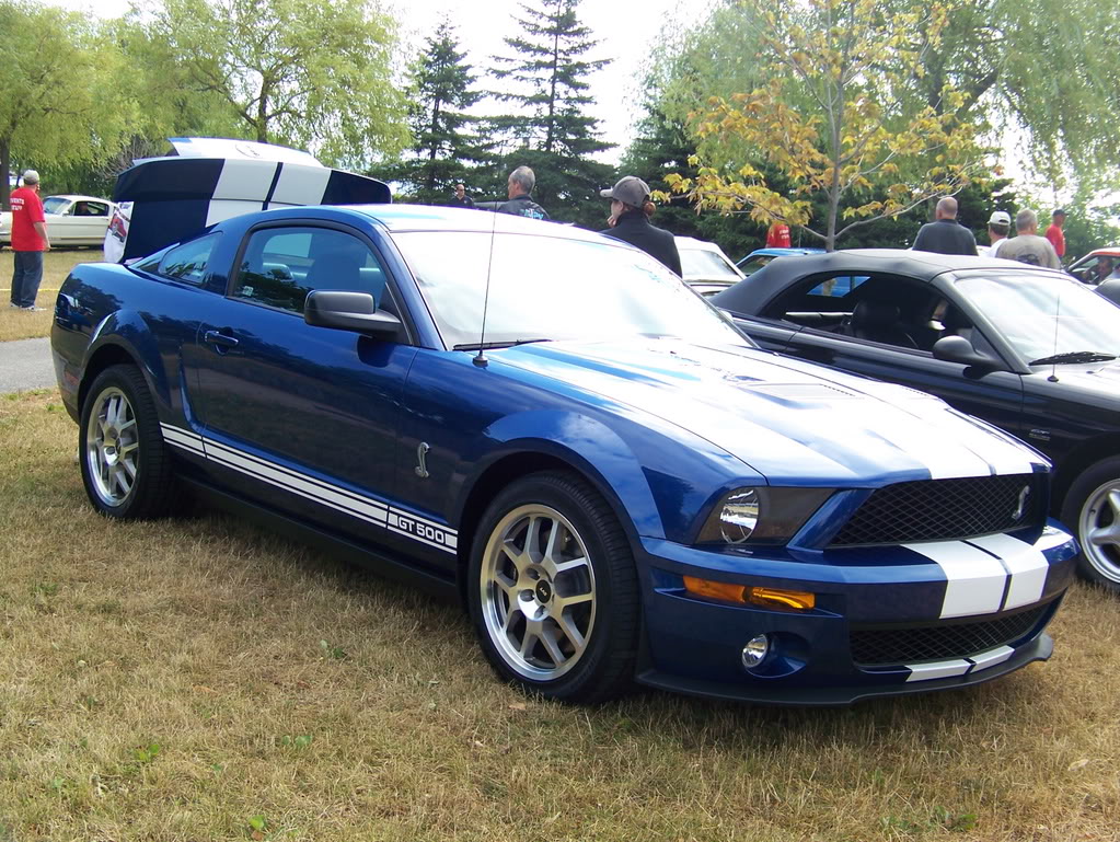 Name:  100_1967.jpg
Views: 56
Size:  254.5 KB