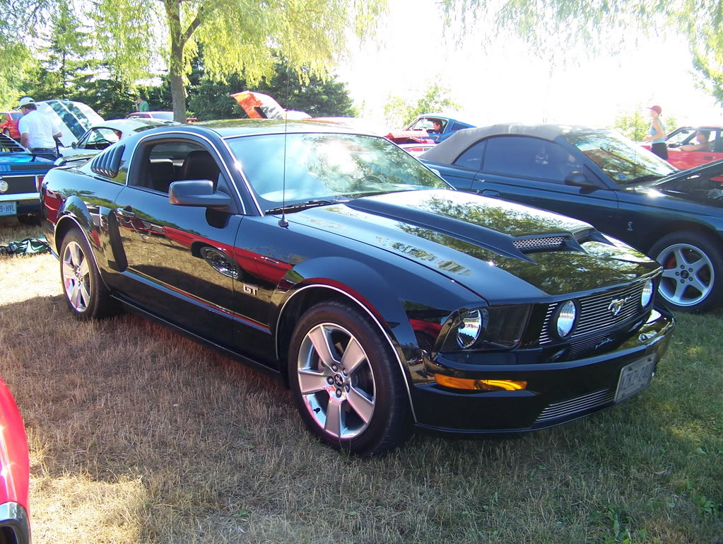 Name:  100_1982.jpg
Views: 77
Size:  256.8 KB