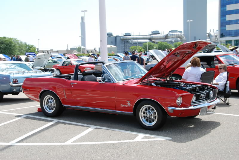 Name:  NoBorders08040.jpg
Views: 58
Size:  123.5 KB