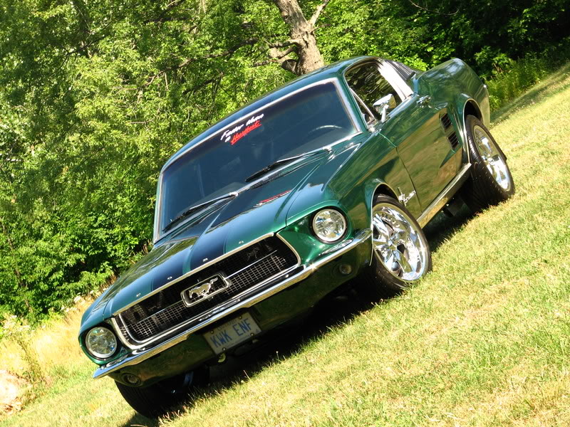 Name:  BigDphotoshootwithourcam029.jpg
Views: 118
Size:  199.0 KB