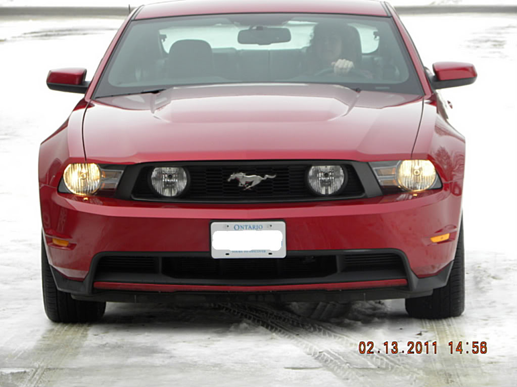 Name:  2011GT002.jpg
Views: 79
Size:  87.8 KB