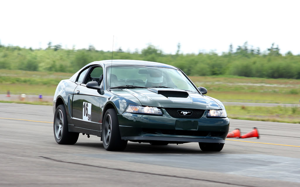 Name:  Digby_July2a.jpg
Views: 149
Size:  89.9 KB