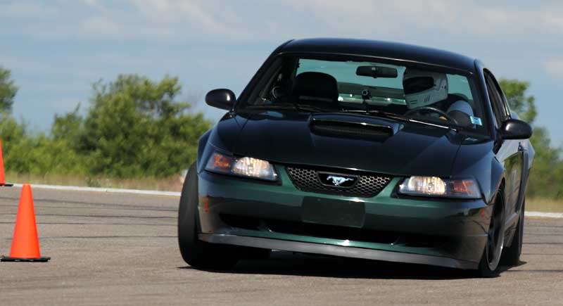 Name:  Digby_July2.jpg
Views: 149
Size:  29.0 KB