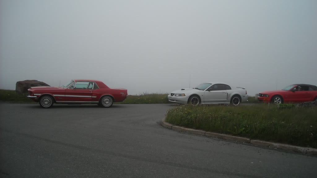 Name:  53ea84e6.jpg
Views: 273
Size:  40.8 KB