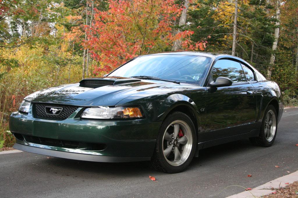 Name:  IMG_8339.jpg
Views: 121
Size:  145.4 KB