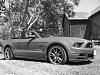 Fresh Pictures June 21/15-shakin-6848-albums-2013-mustang-gt-convertible-379-picture-3-4-shot-b-w-1941.jpg