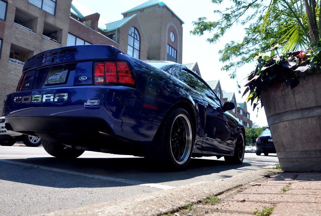 Name:  12cb.jpg
Views: 541
Size:  171.5 KB