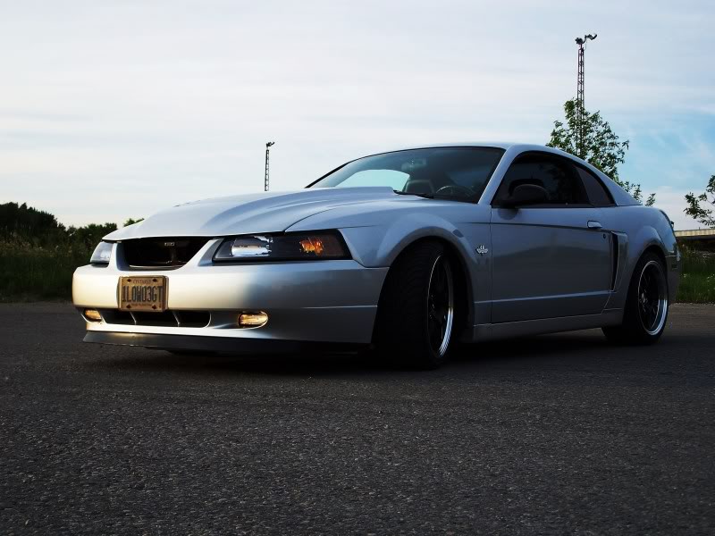 Name:  100_2709.jpg
Views: 16
Size:  74.0 KB