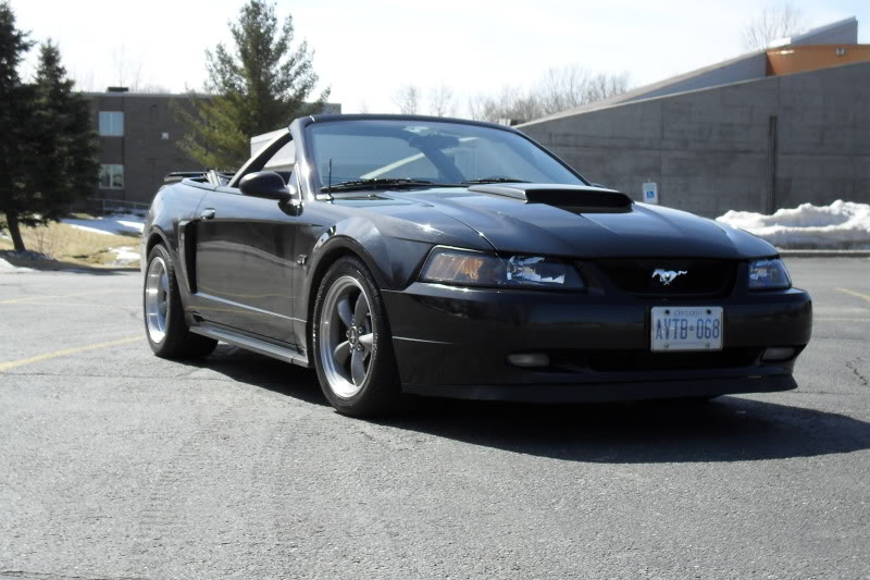 Name:  SDC10389.jpg
Views: 34
Size:  86.8 KB