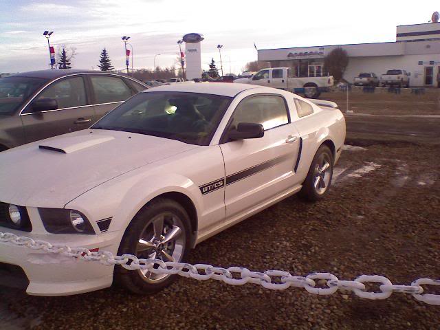 Name:  calispecial.jpg
Views: 30
Size:  48.4 KB