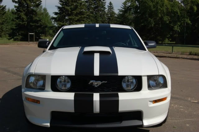 Name:  DSC_0453-1.jpg
Views: 33
Size:  46.1 KB