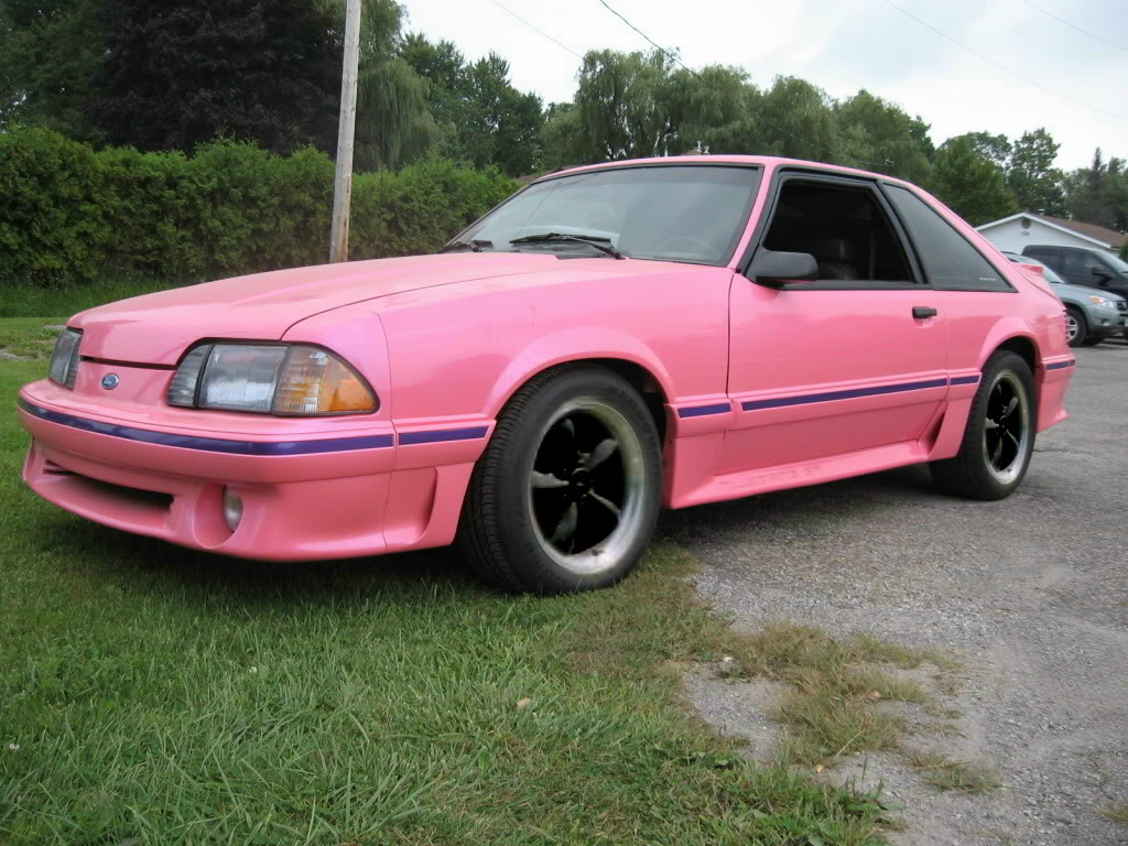 Name:  MarysMustang003-1.jpg
Views: 16
Size:  179.3 KB