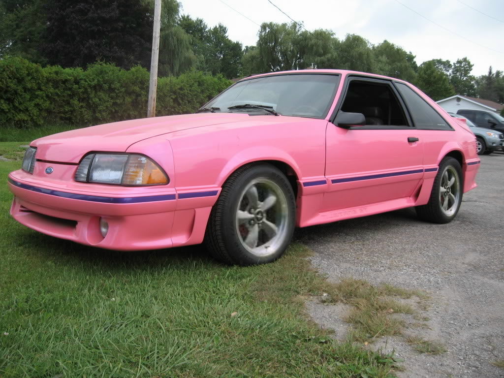 Name: MarysMustang003.jpg
Views: 19
Size: 180.1 KB