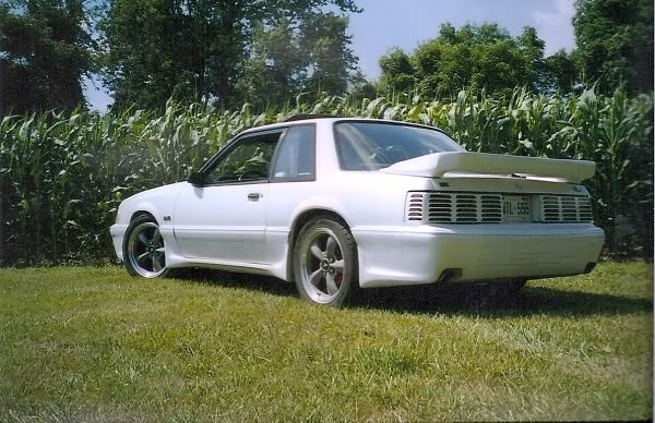 Name:  bullits1.jpg
Views: 20
Size:  87.5 KB