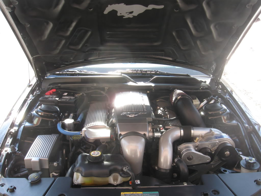 Name:  IMG_0352.jpg
Views: 28
Size:  115.6 KB