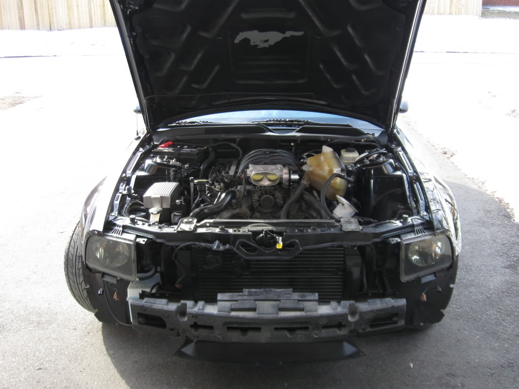 Name:  IMG_0337.jpg
Views: 37
Size:  120.2 KB