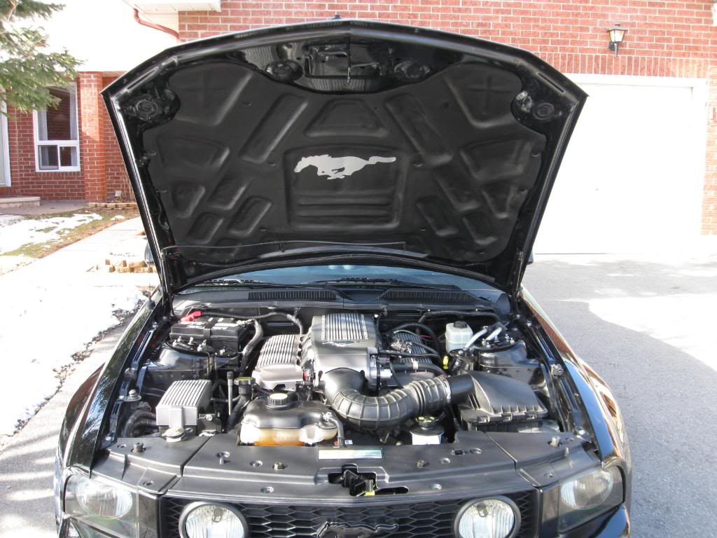 Name:  IMG_0335.jpg
Views: 33
Size:  124.3 KB