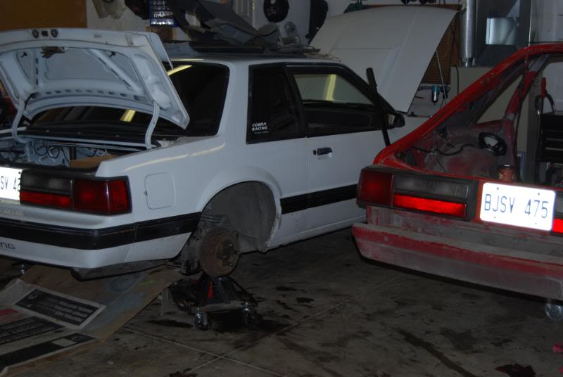 Name:  pictures007-1.jpg
Views: 115
Size:  46.4 KB