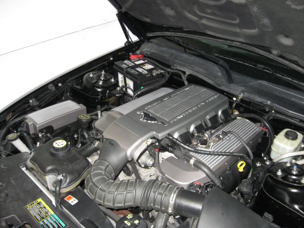 Name:  IMG_0331.jpg
Views: 41
Size:  107.5 KB