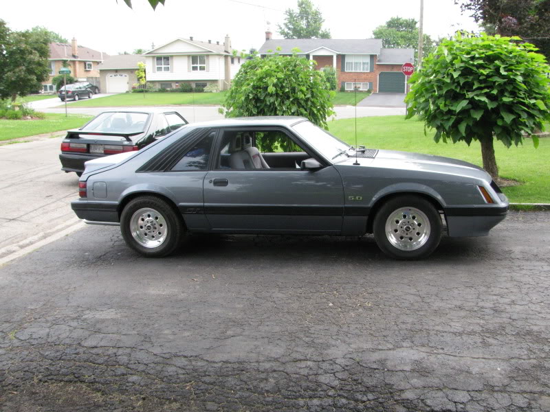 Name:  IMG_0878.jpg
Views: 62
Size:  124.5 KB