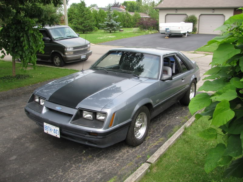 Name:  IMG_0879.jpg
Views: 54
Size:  119.2 KB