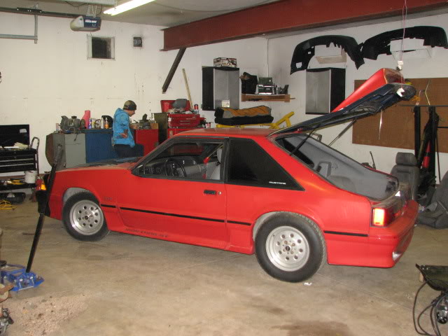 Name:  1989MustangGT056.jpg
Views: 89
Size:  58.3 KB