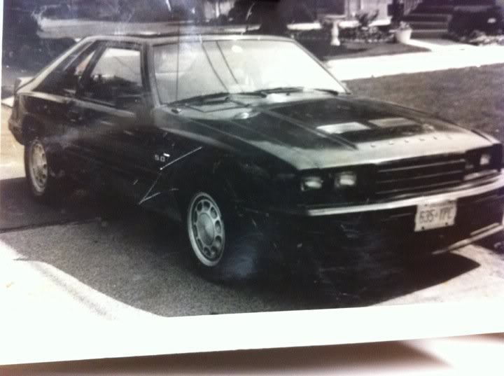 Name: 73182_10150310174055338_575750337_15474391_1742868_n.jpg
Views: 30
Size: 41.7 KB