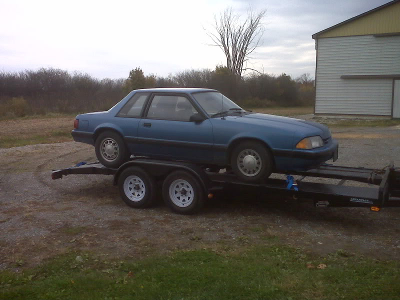 Name: mustang4cyl.jpg
Views: 503
Size: 79.8 KB