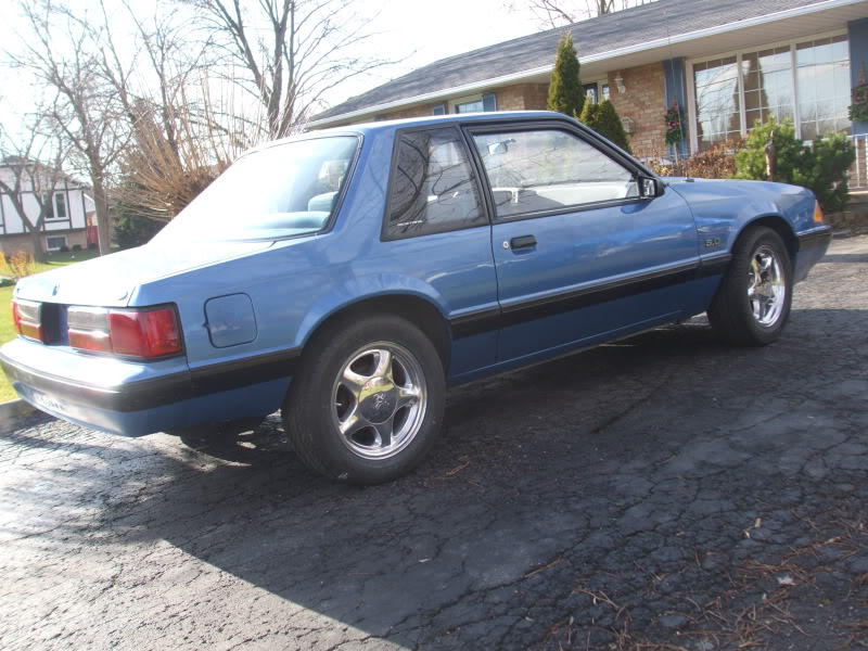 Name: 88Mustang017.jpg
Views: 486
Size: 115.4 KB