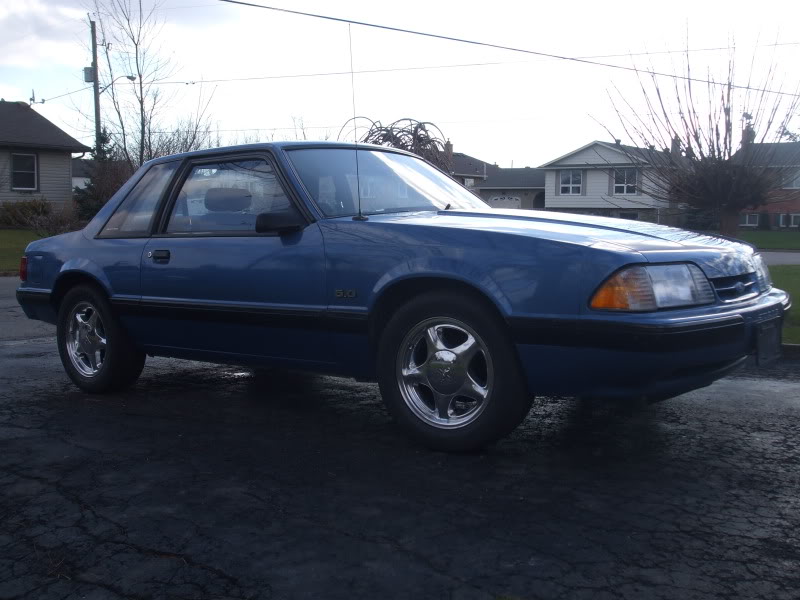 Name: 88Mustang014.jpg
Views: 407
Size: 70.5 KB